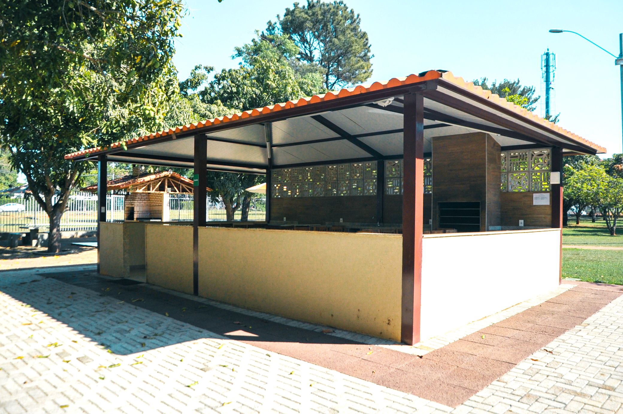 Canario.jpg