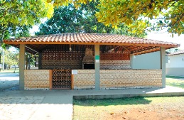 Beija-Flor_nv_2.jpg